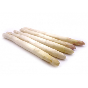 Asperges blanches hourtin cal. 16-22