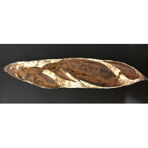 Pain bis bio t110 800grs tranché