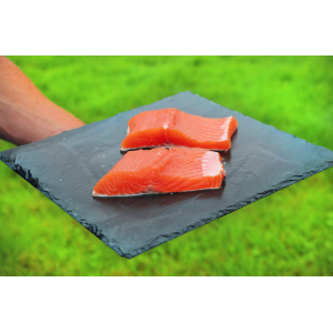 Lot de 2 pavés de truite désarêt