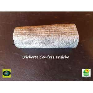 Bûchette cendrée fraîche