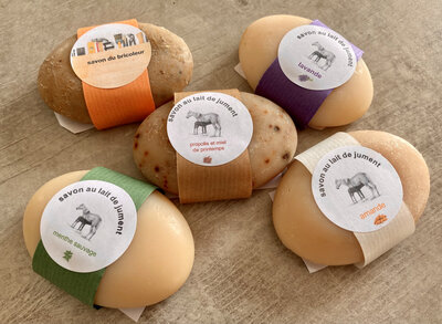 Pain de savon ovale