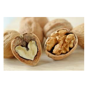 Noix entières de dordogne