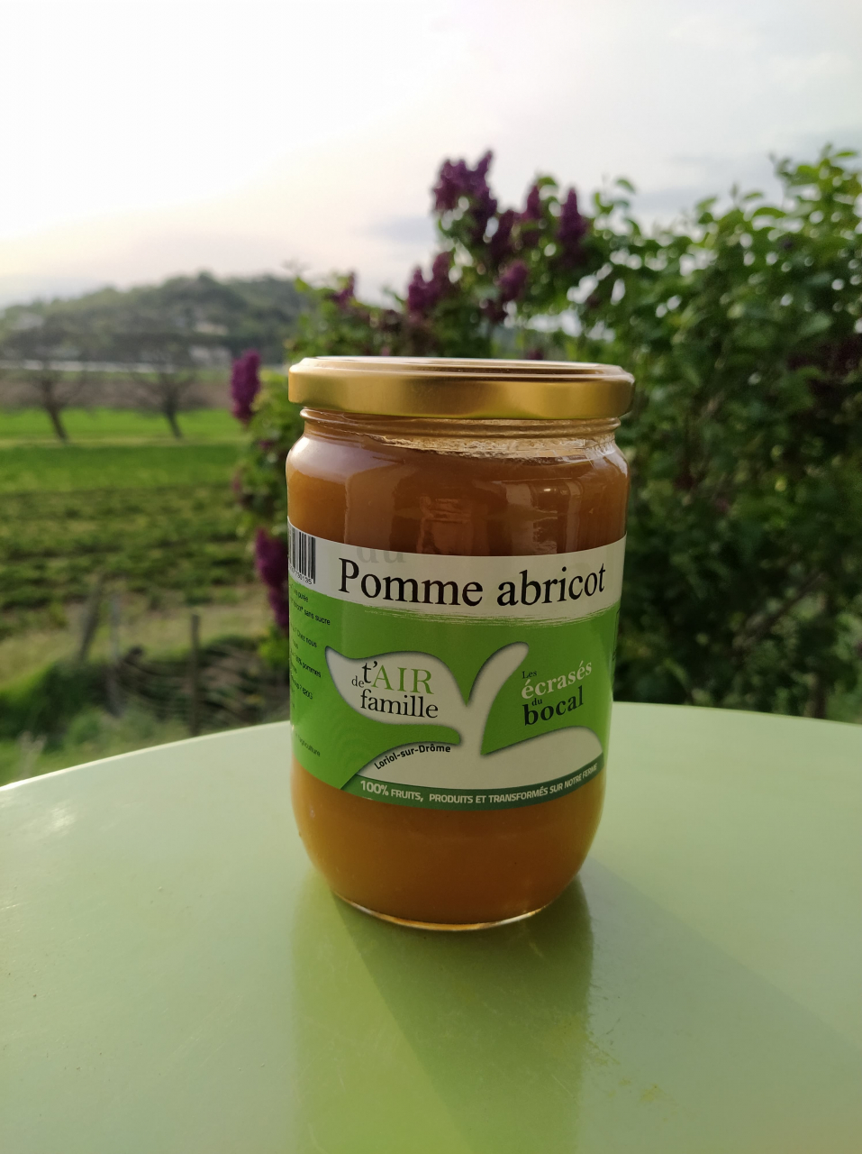 Compote pomme abricot 620gr 1 u Le Silo Des Saveurs Locavor.fr