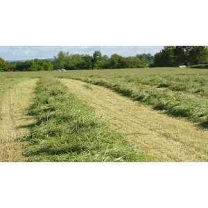 Botte foin bio emballée