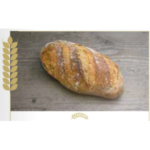 Pain de l'ill bio (ellbrot)