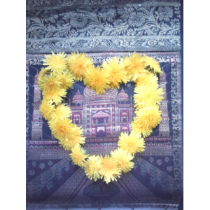 Dents de lait de lion