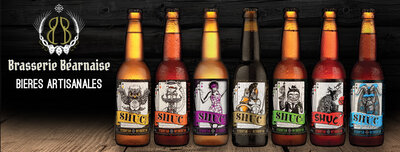 Carton de 12 bouteilles 33 cl