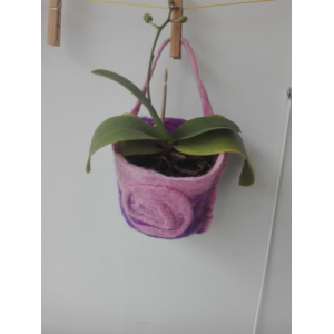 Sac de plante rose et violet avec pl