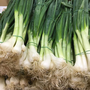 Cebettes (oignons frais)