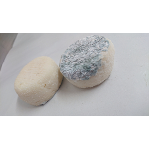 Crottin de chevre sec