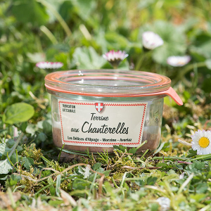 Terrine artisanale de chanterelles
