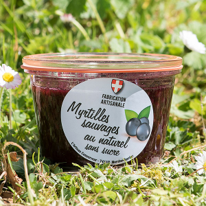 Myrtilles sauvages au naturel