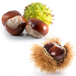 Crème glacée chataigne d'ardèche