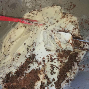 Crème glacée menthe chocolat