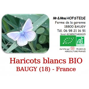 Haricots blancs lingots