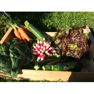 Grand panier de légumes saison