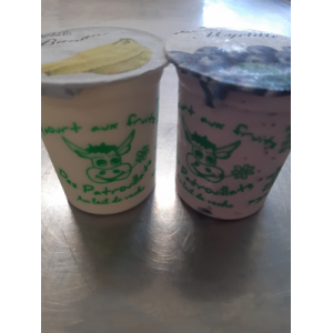 Yaourts aux fruits au lait de vache par 4