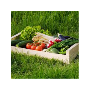 Panier fruits et légumes bio