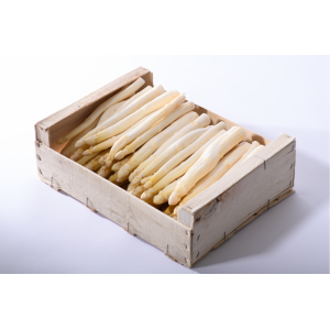 Asperge blanche cat 2 épluché