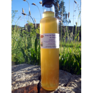 Sirop des fées du cézallier