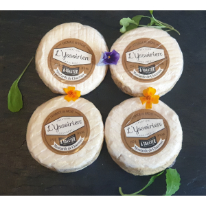 L'yssoirien à toaster moutarde de charroux