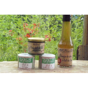 Vinaigre de cidre ail des ours