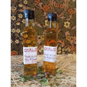 Vinaigre de cidre ail des ours