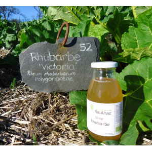 Sirop de rhubarbe solidaire 500ml