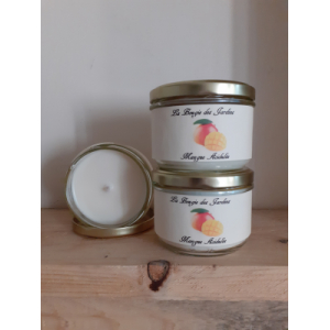 Bougie 160gr douceur exotique