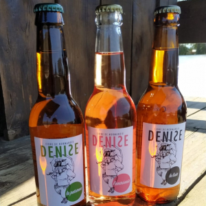 Trio de denise en 33