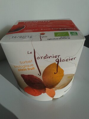 Glace végétale vanille 550l (riz)