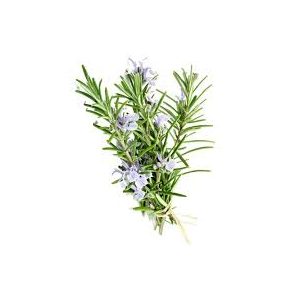 Glace romarin (riz) lot de 2 pots-[c