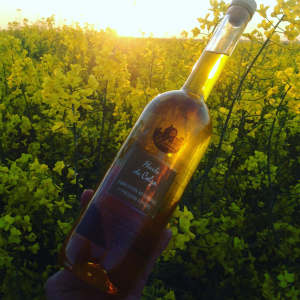 Huile vierge de colza