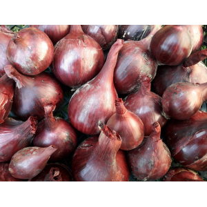 Oignons rouges (tous calibres confondu)