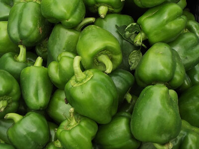 Poivron vert doux