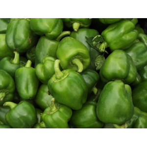 Poivron vert doux