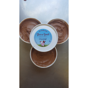 Glace yaourt-chocolat 100g