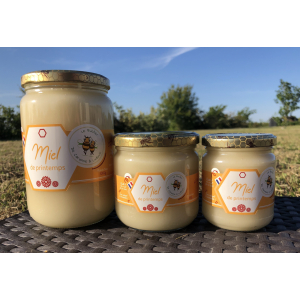 Miel de fleurs de printemps