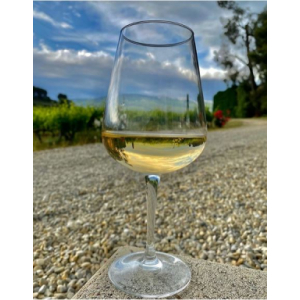 Viognier sec 2019 igp vaucluse