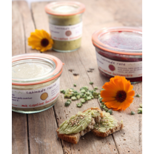 Tartinade haricots poivrons fermenté