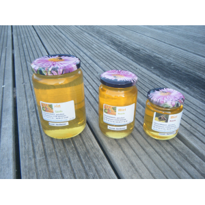 Miel de toutes fleurs de printemps