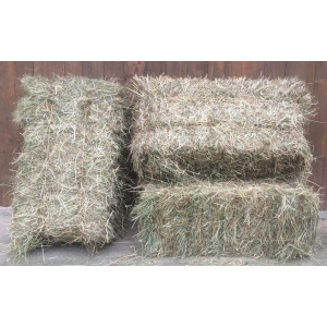 Foin des prairies en botte de 18 kg