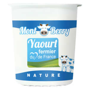 Yaourt montberry nature