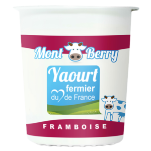 Yaourt montberry framboise