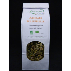 Achillée millefeuille