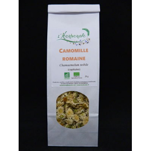 Camomille romaine