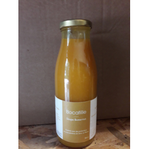 Soupe butternut