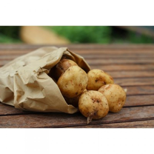 Pomme de terre nouvelle