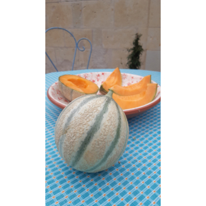 Melon charentais