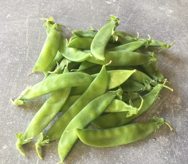 Pois mange tout - 500 g - Le Jardin Des Saveurs - Locavor.fr